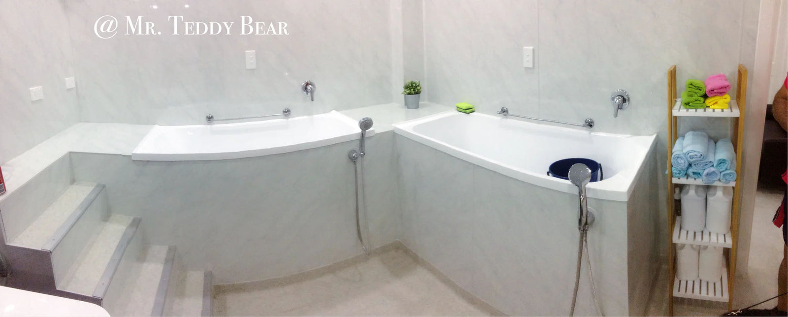 Mr Teddy Bear Dog Spa